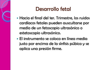 Desarrollo fetal
 Hacia el final del 1er. Trimestre, los ruidos
  cardíacos fetales pueden auscultarse por
  medio de un fetoscopio ultrasónico o
  estetoscopio ultrasónico.
 El instrumento se coloca en línea media
  justo por encima de la sínfisis púbica y se
  aplica una presión firme.
 