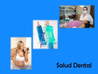 Salud Dental
 