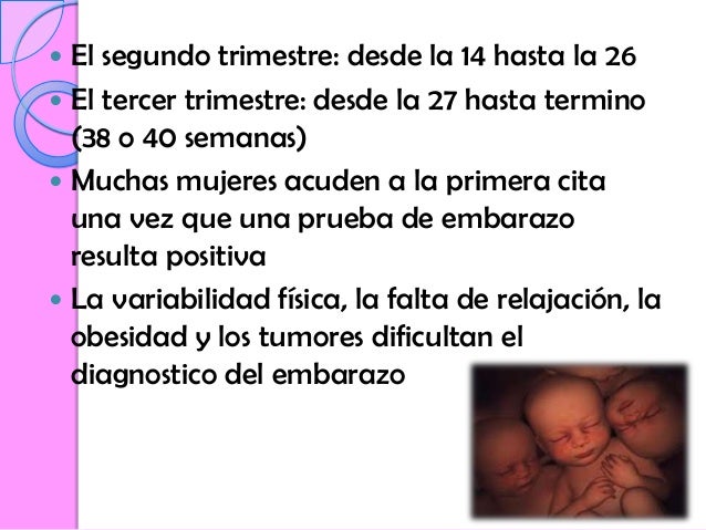 1ro2d03er Trimestre De Enbarazo