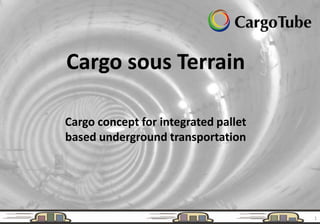 Cargo sous Terrain

Cargo concept for integrated pallet
based underground transportation




                                      1
 