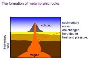 The formation of metamorphic rocks
magma
sedimentary
rocks
are changed
here due to
heat and pressure.
volcano
 