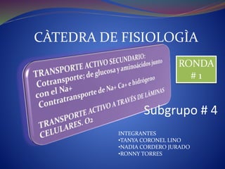 CÀTEDRA DE FISIOLOGÌA 
RONDA 
Subgrupo # 4 
INTEGRANTES 
•TANYA CORONEL LINO 
•NADIA CORDERO JURADO 
•RONNY TORRES 
# 1 
 