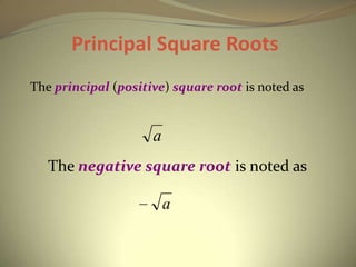 Princioal Roots Roots and Radicals | PPTX