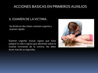 ACCIONES BASICAS EN PRIMEROS AUXILIOS
6. EXAMEN DE LAVICTIMA.
Se divido en dos clases: examen urgente y
examen rápido
Examen urgente: buscar signos que hace
peligrar la vida o signos que adviertan sobre la
muerte inminente de la victima. No debe
durar mas de 10 segundos.
 