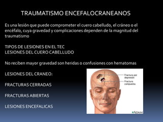 TRAUMATISMO ENCEFALOCRANEANOS
Es una lesión que puede comprometer el cuero cabelludo, el cráneo o el
encéfalo, cuya gravedad y complicaciones dependen de la magnitud del
traumatismo
TIPOS DE LESIONES EN ELTEC
LESIONES DELCUERO CABELLUDO
No reciben mayor gravedad son heridas o confusiones con hematomas
LESIONES DELCRANEO:
FRACTURAS CERRADAS
FRACTURAS ABIERTAS
LESIONES ENCEFALICAS
 