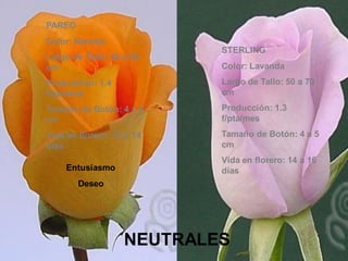 Entusiasmo
Deseo
NEUTRALES
PAREO
Color: Naranja
Largo de Tallo: 40 a 60
cm
Producción: 1.4
f/pta/mes
Tamaño de Botón: 4 a 5
cm
Vida en florero: 12 a 14
días
STERLING
Color: Lavanda
Largo de Tallo: 50 a 70
cm
Producción: 1.3
f/pta/mes
Tamaño de Botón: 4 a 5
cm
Vida en florero: 14 a 16
días
 