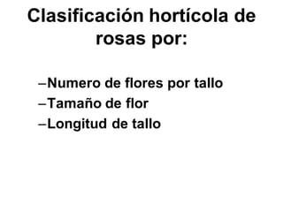 Clasificación hortícola de
rosas por:
–Numero de flores por tallo
–Tamaño de flor
–Longitud de tallo
 