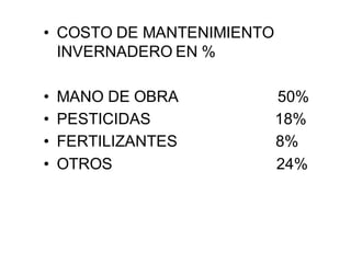 • COSTO DE MANTENIMIENTO
INVERNADERO EN %
• MANO DE OBRA 50%
• PESTICIDAS 18%
• FERTILIZANTES 8%
• OTROS 24%
 