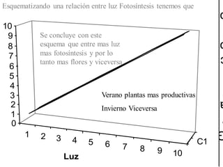 1 2 3 4 5 6 7 8 9 10
C1
0
1
2
3
4
5
6
7
8
9
10
Luz
Esquematizando una relación entre luz Fotosíntesis tenemos que
Se concluye con este
esquema que entre mas luz
mas fotosíntesis y por lo
tanto mas flores y viceversa
Verano plantas mas productivas
Invierno Viceversa
 