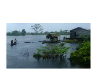 ESTUDO DE CASO: PROBLEMA SOCIOAMBIENTAL