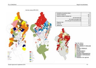 PLU d’ORGERUS Rapport de présentation
Dossier approuvé en septembre 2018 112
Exploitations de grandes cultures 3
Superficie utilisée (ha) 523
Superficie cultivée en céréales (ha) 352
dont blé tendre (ha) nc
dont orge et escourgeon (ha) nc
dont maïs-grain et maïs-semence (ha) 55
Oléagineux (ha) 93
Colza (ha) 93
Jachère (ha) 19
Carte des cultures (RPG 2012)
 