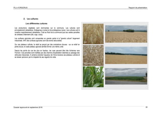 PLU d’ORGERUS Rapport de présentation
Dossier approuvé en septembre 2018 30
2. Les cultures
Les différentes cultures
Les productions végétales sont dominantes sur la commune. Les cultures sont
principalement céréalières, d'oléagineux (colza) et de protéagineux (pois). Les cultures sont à
vocation majoritairement céréalières. C'est au Nord de la commune que ces vastes parcelles
de céréales s'étendent (blé, orge, colza).
Les surfaces agricoles sont consacrées en grande partie à la "grande culture" largement
mécanisée. 94% des surfaces agricoles sont des terres labourables.
Sur ces plateaux cultivés, le relief se perçoit par des ondulations douces : sur ce relief en
pente douce, le vaste plateau agricole semble former une même unité.
Depuis les points de vue les plus en hauteur, les vues peuvent être très lointaines vers
l'horizon. Ces parcelles sont maillées par des chemins d'exploitation destinés au passage des
véhicules mécanisés. A certains endroits l'aqueduc de l’Avre traverse ces plateaux cultivés et
se laisser percevoir par le chapelet de ses regards de visite.
Blé
Fabacées
Maïs
 