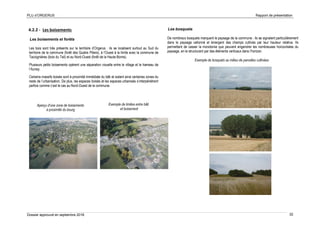 PLU d’ORGERUS Rapport de présentation
Dossier approuvé en septembre 2018 32
4.2.2 - Les boisements
Les boisements et forêts
Les bois sont très présents sur le territoire d’Orgerus : ils se localisent surtout au Sud du
territoire de la commune (forêt des Quatre Piliers), à l’Ouest à la limite avec la commune de
Tacoignières (bois du Teil) et au Nord-Ouest (forêt de la Haute-Borne).
Plusieurs petits boisements opèrent une séparation visuelle entre le village et le hameau de
l’Aunay.
Certains massifs boisés sont à proximité immédiate du bâti et isolent ainsi certaines zones du
reste de l’urbanisation. De plus, les espaces boisés et les espaces urbanisés s’interpénètrent
parfois comme c’est le cas au Nord-Ouest de la commune.
Les bosquets
De nombreux bosquets marquent le paysage de la commune : ils se signalent particulièrement
dans le paysage vallonné et émergent des champs cultivés par leur hauteur relative. Ils
permettent de casser la monotonie que peuvent engendrer les nombreuses horizontales du
paysage, en le structurant par des éléments verticaux dans l’horizon.
Exemple de bosquets au milieu de parcelles cultivées
Exemple de limites entre bâti
et boisement
Aperçu d'une zone de boisements
à proximité du bourg
 