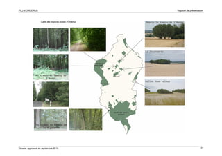 PLU d’ORGERUS Rapport de présentation
Dossier approuvé en septembre 2018 33
Carte des espaces boisés d'Orgerus
 