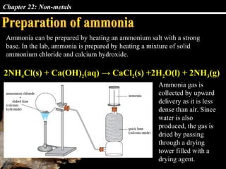 Chapter 22: Non-metals
Ammonia can be prepared by heating an ammonium salt with a strong
base. In the lab, ammonia is prepared by heating a mixture of solid
ammonium chloride and calcium hydroxide.
2NH4Cl(s) + Ca(OH)2(aq) → CaCl2(s) +2H2O(l) + 2NH3(g)
Ammonia gas is
collected by upward
delivery as it is less
dense than air. Since
water is also
produced, the gas is
dried by passing
through a drying
tower filled with a
drying agent.
 