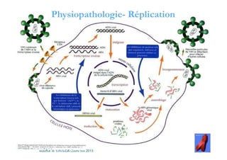 PhysiopathologiePhysiopathologie-- RéplicationRéplication
Mouffok N- VIH/SIDA Cours nov 2013Cycle réplicatif du VIH
 
