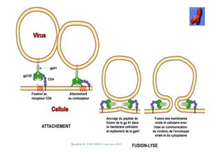 Mouffok N- VIH/SIDA Cours nov 2013
 