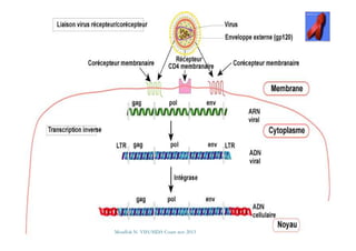 Mouffok N- VIH/SIDA Cours nov 2013
 