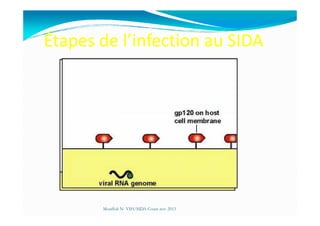 Étapes de l’infection au SIDA
Mouffok N- VIH/SIDA Cours nov 2013
 