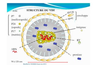 STRUCTURE DU VIH
intégrase
enveloppe
gp120
gp41
P17
(matrice)
P24
(capside)
P7
(nucléocapside)
core
RT
ARN
(matrice)
protéase
90 à 120 nm
Mouffok N- VIH/SIDA Cours nov 2013
 