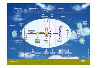 Mouffok N- VIH/SIDA Cours nov 2013
 