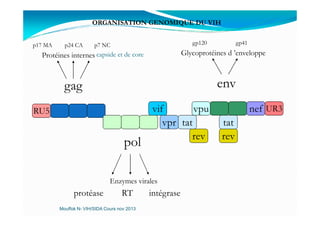 ORGANISATION GENOMIQUE DU VIH
RU5 vif nefvpu UR3
gag env
p17 MA p24 CA p7 NC gp120 gp41
Protéines internes Glycoprotéines d ’enveloppecapside et de core
RU5 vif
tatvpr
nefvpu
rev
tat
UR3
rev
pol
protéase RT intégrase
Enzymes virales
Mouffok N- VIH/SIDA Cours nov 2013
 
