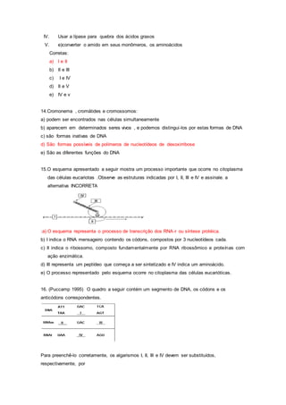 IV. Usar a lípase para quebra dos ácidos graxos
V. e)converter o amido em seus monômeros, os aminoácidos
Corretas:
a) I e II
b) II e III
c) I e IV
d) II e V
e) IV e v
14.Cromonema , cromátides e cromossomos:
a) podem ser encontrados nas células simultaneamente
b) aparecem em determinados seres vivos , e podemos distingui-los por estas formas de DNA
c) são formas inativas de DNA
d) São formas possíveis de polímeros de nucleotídeos de desoxirribose
e) São as diferentes funções do DNA
15.O esquema apresentado a seguir mostra um processo importante que ocorre no citoplasma
das células eucariotas .Observe as estruturas indicadas por I, II, III e IV e assinale. a
alternativa INCORRETA
:a) O esquema representa o processo de transcrição dos RNA-r ou síntese protéica.
b) I indica o RNA mensageiro contendo os códons, compostos por 3 nucleotídeos cada.
c) II indica o ribossomo, composto fundamentalmente por RNA ribossômico e proteínas com
ação enzimática.
d) III representa um peptídeo que começa a ser sintetizado e IV indica um aminoácido.
e) O processo representado pelo esquema ocorre no citoplasma das células eucarióticas.
16. (Puccamp 1995) O quadro a seguir contém um segmento de DNA, os códons e os
anticódons correspondentes.
Para preenchê-lo corretamente, os algarismos I, II, III e IV devem ser substituídos,
respectivamente, por
 