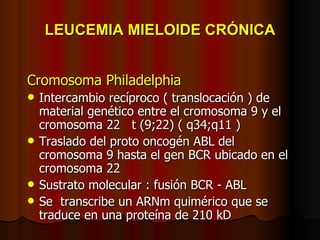 LEUCEMIA MIELOIDE CRÓNICA Cromosoma Philadelphia Intercambio recíproco ( translocación ) de material genético entre el cromosoma 9 y el cromosoma 22  t (9;22) ( q34;q11 ) Traslado del proto oncogén ABL del cromosoma 9 hasta el gen BCR ubicado en el cromosoma 22 Sustrato molecular : fusión BCR - ABL Se  transcribe un ARNm quimérico que se traduce en una proteína de 210 kD 