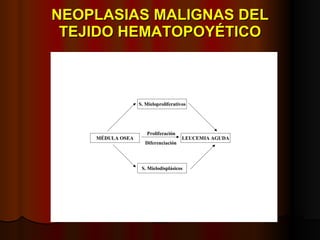 NEOPLASIAS MALIGNAS DEL TEJIDO HEMATOPOYÉTICO 
