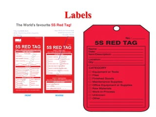 1S 2S.pdf