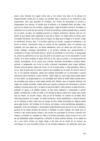 146
pisan unas hierbas me cogen entre dos y me echan tres días en la cárcel, he
desparramado mulas por el pasto, he perdido días y noches en la mazmorra, dijo
suspirando. Sus ojos grandes lo miraban, las mulas se acercaban al arriero y
olisqueaban sus manos, él sentía que el silencio y la soledad fluían de ellas. ¿Por
qué no me llevái con mis mulitas, medio pollo?, rogó humilde el arriero. Al hablar el
sombrero se le cayó de las manos. Él miró el sombrero, habrá pasado días y noches
en el suelo, se dijo, en realidad parecía un trágico sombrero. Bueno, dijo él, sin
saber lo que decía, pero sabiendo lo que iba a hacer, no sabía cómo lo hacía, pero
lo estaba haciendo. Soy chico, pero lo hago, les digo que lo hagan y lo hacen. Coge
el sombrero, arriero, dijo. Y el arriero salió de su buche, recogió el sombrero y se
tornó a entrar. Caminaron toda la noche, él iba cojeando, pero no parecía que
cojeaba, por eso debe ser, se decía satisfecho, pero no decía por qué sería. Las
mulas estaban echadas dormitando y el arriero hilando sus pensamientos y
mirándolo a él que caminaba afuera. Ahora no perderás ni una mula, le aseguraba
él, ahora le pediremos al rey que les grite a los pacos que no te encarcelen ni una
noche. A lo lejos brillaba el agua. Ese es el río, dijo el arriero y se estremecía de
miedo, recordando. El río venía muy crecido, echando lumbradas a ambos lados,
parecía ir golpeando con furia la orilla, echando manotazos para coger árboles,
chozas, pies de gente, patas de mula y él no lo pudo pasar y ellas tampoco. Este es
el río, dijo él para que el arriero supiera que estaban en la orilla. El arriero miró el
río, el río parecía atisbarlo, sabía que estaba escondido en la oscuridad y quería
acercarse para asustarlo o para tocarlo. ¿Qué hago yo, qué hago para poder pasar
al otro lado?, se preguntaba él y se acordaba que hacia la tarde había tenido sed y
se acordaba que toda su vida había tenido sed. Madre, que el maestro Polonia me
haga una media escudilla, había dicho por orgullo y porque sus hermanos y primos
estaban mirando para acá y el agua se escurría fácil y ellos ponían la pata encima y
botaban el agua y él estaba quieto, se iba hacia adentro y empezaba a cantar
bajito, cantaba feo y ellos se reían y él miraba el agua y decía con rabia, que crean
eso es mejor, es mucho mejor, sólo yo sé la verdad, mi madre no la sabe, llora
silenciosa porque no la sabe, mi padre tampoco, vuela desdeñoso y nupcial porque
no le interesa y ellos creen que yo tengo la otra mitad escondida en alguna parte
para algo bueno. Ahí brillaba el río ahora, ahí abajo, como haciéndose aplastado y
pequeño, como borrándose y haciéndose insignificante para que él no se lo bebiera,
porque él se había tendido de bruces y reptaba un poco cheuto, de modo que el
arriero y las mulas tenían miedo y las mulas se acercaban al arriero y lamían sus
manos y echaban su soledad en ellas y el arriero pensaba, ahora entra el río y me
da de bofetadas hasta ahogarme y también a estas pobres bestias. Él se bebió el
río y era como tomar un trago largo a las tres de la tarde en el verano de
Colchagua, en una escudilla entera, el río entraba despacio, sin alborotar para que
 