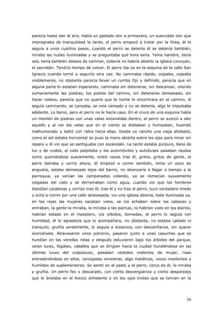 56
parecía hasta oler el aire, había un gastado olor a primavera, un suavizado olor que
impregnaba de tranquilidad la tarde, el perro empezó a trotar por la línea, él lo
seguía a unos cuantos pasos, cuando el perro se detenía él se detenía también,
miraba las nubes iluminadas y se preguntaba qué hora sería. Tenía hambre, tenía
sed, tenía también deseos de caminar, todavía no habría abierto la iglesia Lincoyán,
el sacristán. Tendría tiempo de volver. El perro iba ya en la esquina de la calle San
Ignacio cuando tornó a seguirlo otra vez. No caminaba rápido, cojeaba, cojeaba
visiblemente, no obstante parecía llevar un rumbo fijo y definido, parecía que en
alguna parte lo estaban esperando, caminaba sin detenerse, sin descansar, oliendo
sumariamente las piedras, los postes del camino, sin detenerse demasiado, sin
hacer rodeos, parecía que no quería que la noche lo encontrara en el camino, él
seguía caminando, se cansaba, se veía cansado y no se detenía, algo le impulsaba
adelante. Lo llamó, pero el perro no le hacía caso. En el cruce de una esquina había
un montón de piedras con unas velas encendidas dentro, el perro se acercó a oler
aquello y al ver las velas que en el viento se doblaban y humeaban, husmeó
malhumorado y ladró con rabia hacia ellas. Desde un rancho una vieja atisbaba,
como el sol estaba horizontal se puso la mano abierta sobre los ojos para mirar sin
reparo y él vio que se santiguaba con escándalo. La tarde estaba púrpura, llena de
luz y de ruidos, el cielo palpitaba y los automóviles y autobuses pasaban raudos
como quemándose suavemente, sintió voces tras él, gritos, gritos de gente, el
perro ladraba y corría ahora, él empezó a correr también, tenía un poco de
angustia, estaba demasiado lejos del barrio, no alcanzaría a llegar a tiempo a la
parroquia, ya venían las campanadas volando, ya se remecían suavemente
colgadas del cielo y se derramaban como agua, cuando vio que los hombres
blandían carabinas y corrían tras él, tras él y no tras el perro, tuvo verdadero miedo
y echó a correr por una calle atravesada, vio una iglesia abierta, toda iluminada ya,
en las rejas las mujeres sacaban velos, se los echaban sobre las cabezas y
entraban, la gente lo miraba, lo miraba a las piernas, lo habrían visto en los diarios,
habrían estado en el matadero, oía silbidos, llamadas, el perro lo seguía con
humildad, él le agradecía que lo acompañara, no obstante, no estaba callado ni
tranquilo, gruñía sordamente, lo seguía a distancia, con desconfianza, sin querer
acercársele. Atravesaron unos potreros, pasaron junto a unas casuchas que se
hundían en las veredas rotas y después estuvieron bajo los árboles del parque,
veían luces, fogatas, caballos que se dirigían hacia la ciudad hundiéndose en las
últimas luces del crepúsculo, pasaban vestidos violentos de mujer, risas
entreabriéndose en ellos, carcajadas siniestras, algo metálicas, voces insolentes y
humildes de suplementeros. Se sentó en el pasto y el perro, cerca de él, lo miraba
y gruñía. Un perro feo y descarado, con cierta desvergüenza y cierto desparpajo
que le brotaba en el hocico anhelante y en los ojos tristes que se torcían en la
 