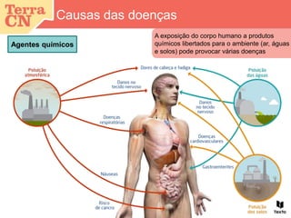Causas das doenças
Agentes químicos
A exposição do corpo humano a produtos
químicos libertados para o ambiente (ar, águas
e solos) pode provocar várias doenças
 