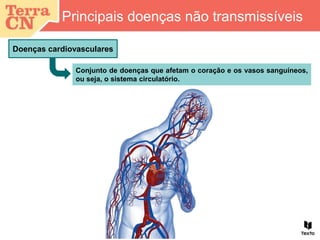 Principais doenças não transmissíveis
Doenças cardiovasculares
Conjunto de doenças que afetam o coração e os vasos sanguíneos,
ou seja, o sistema circulatório.
 