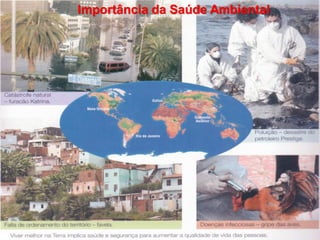 Importância da Saúde Ambiental

 