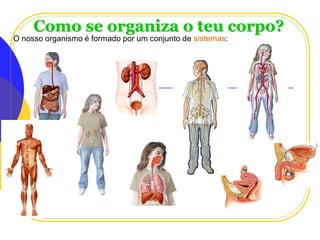 Como se organiza o teu corpo?
O nosso organismo é formado por um conjunto de sistemas:

Planeta Terra — 9.º ano

 