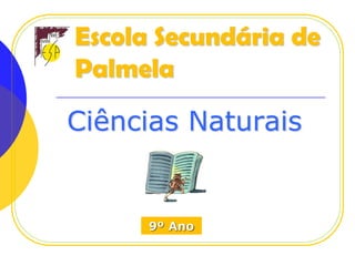 Escola Secundária de
Palmela

Ciências Naturais

9º Ano

 