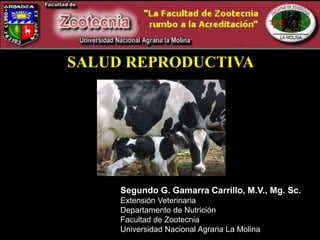 SALUD REPRODUCTIVA
Segundo G. Gamarra Carrillo, M.V., Mg. Sc.
Extensión Veterinaria
Departamento de Nutrición
Facultad de Zootecnia
Universidad Nacional Agraria La Molina
 