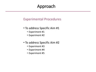 Approach
Experimental Procedures
• To address Specific Aim #1
• Experiment #1
• Experiment #2
• To address Specific Aim #2
• Experiment #3
• Experiment #4
• Experiment #5
 