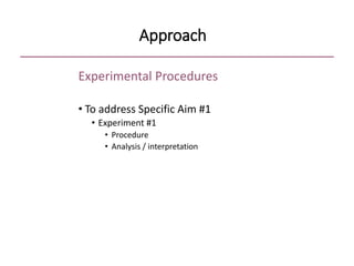 Approach
Experimental Procedures
• To address Specific Aim #1
• Experiment #1
• Procedure
• Analysis / interpretation
 