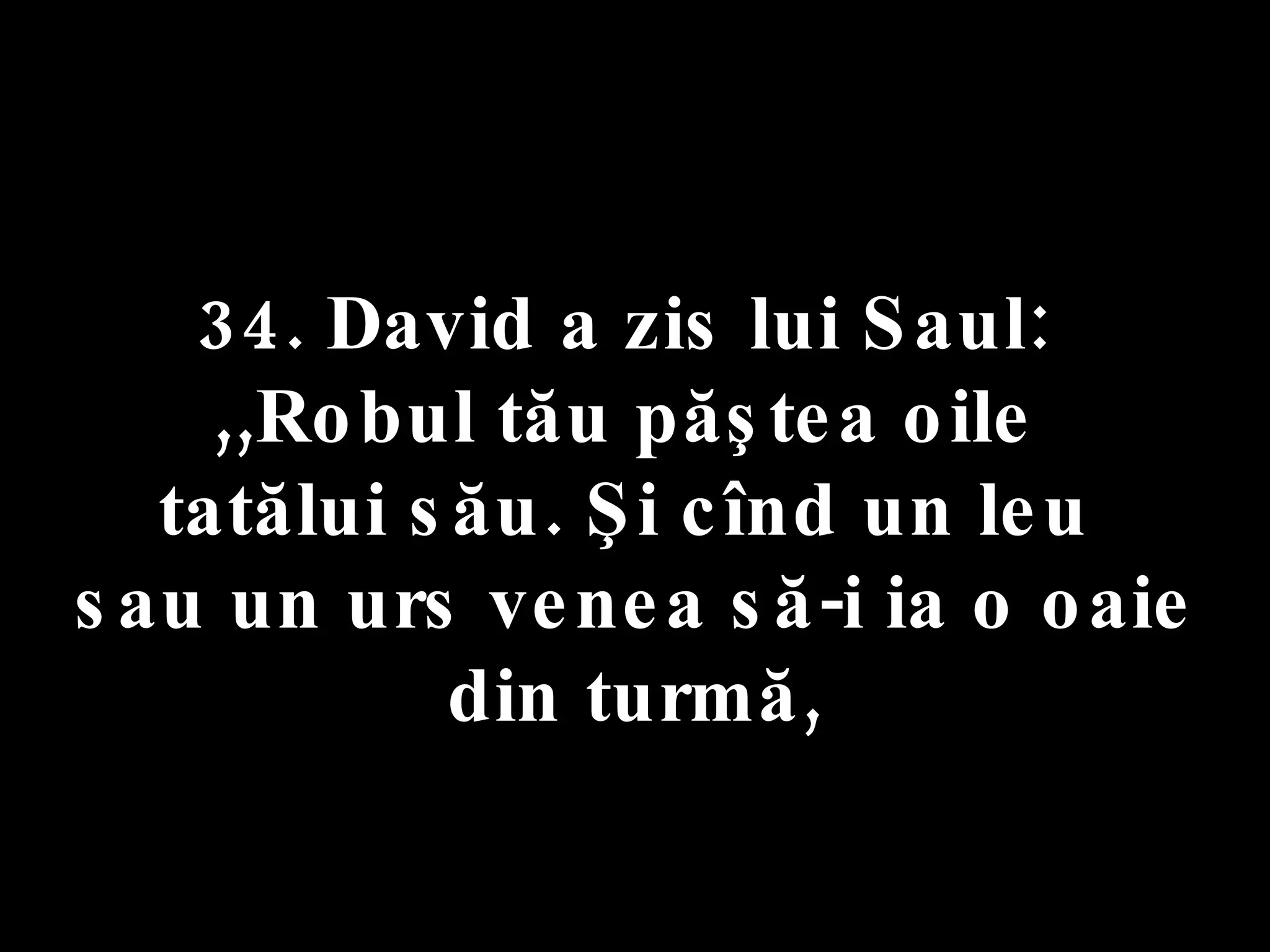 34. David a zis lui Saul:  ,,Robul tău păştea oile  tatălui său. Şi cînd un leu  sau un urs venea să-i ia o oaie din turmă, 