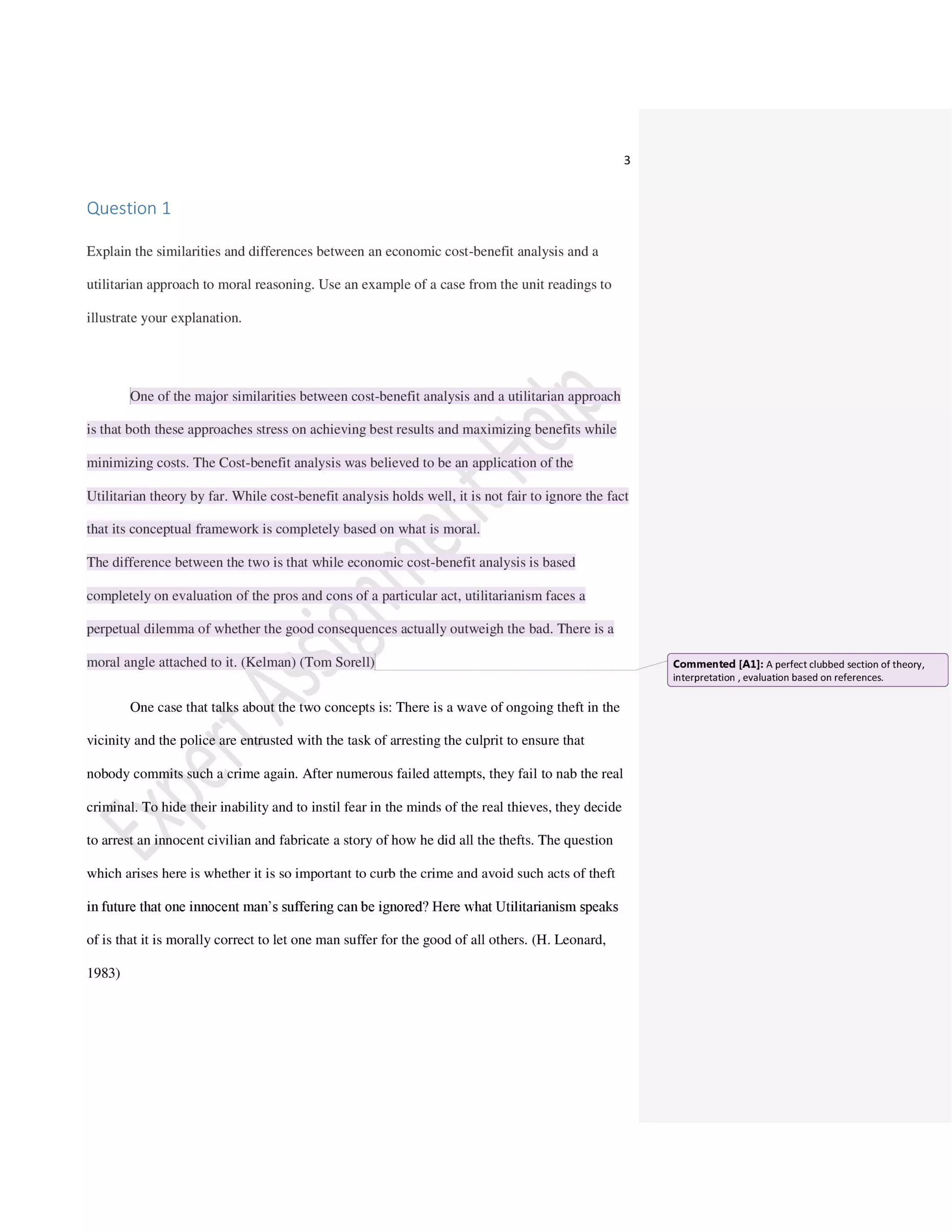 Issues in Business Ethics and Society Coursework questions