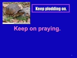 Keep plodding on.




                    16
 
