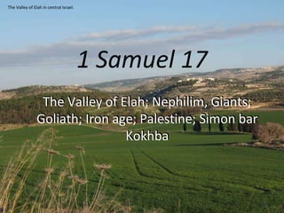 1 Samuel 17
The Valley of Elah; Nephilim, Giants;
Goliath; Iron age; Palestine; Simon bar
Kokhba
The Valley of Elah in central Israel.
 