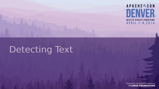 Detecting TextDetecting Text
 