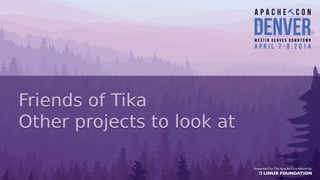 Friends of Tika
Other projects to look at
Friends of Tika
Other projects to look at
 