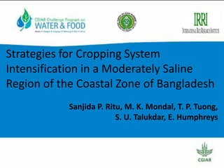 Strategies for Cropping System
Intensification in a Moderately Saline
Region of the Coastal Zone of Bangladesh
Sanjida P. ...