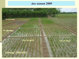 Strategies for Cropping System Intensification in a Moderately Saline Region of the Coastal Zone of Bangladesh