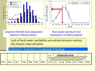 Strategies for Cropping System Intensification in a Moderately Saline Region of the Coastal Zone of Bangladesh