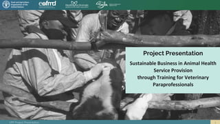 VPP Project Presentation
Project Presentation
Sustainable Business in Animal Health
Service Provision
through Training for Veterinary
Paraprofessionals
 